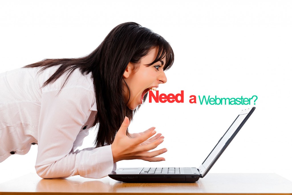 Need-a-webmaster