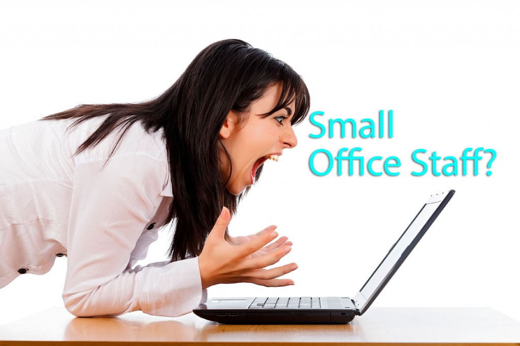 Small-office-staff