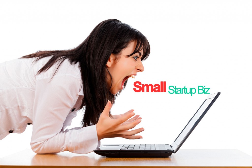 Small-startup-biz